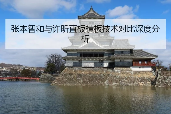 张本智和与许昕直板横板技术对比深度分析